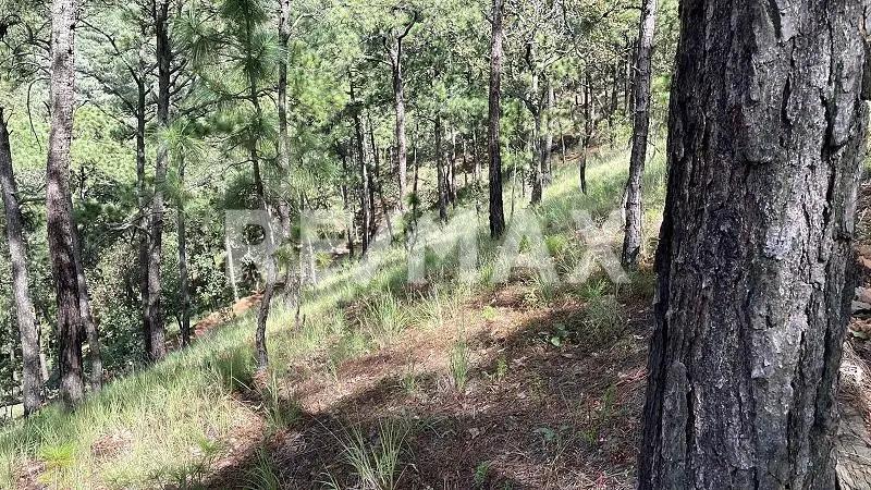 secondary property images 3