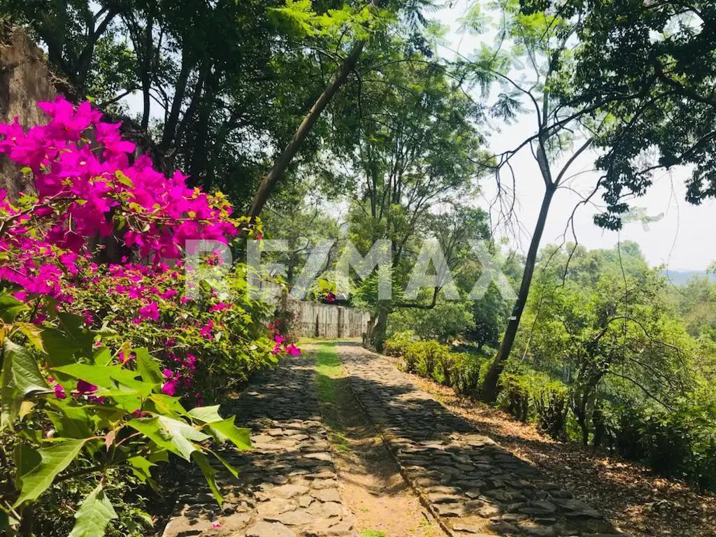 secondary property images 1