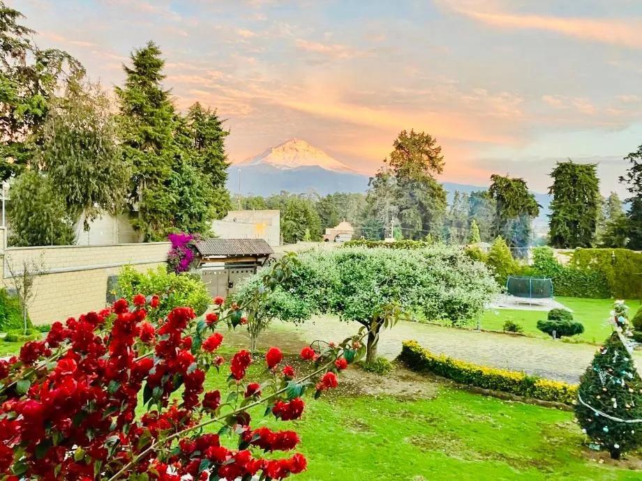 secondary property images 3