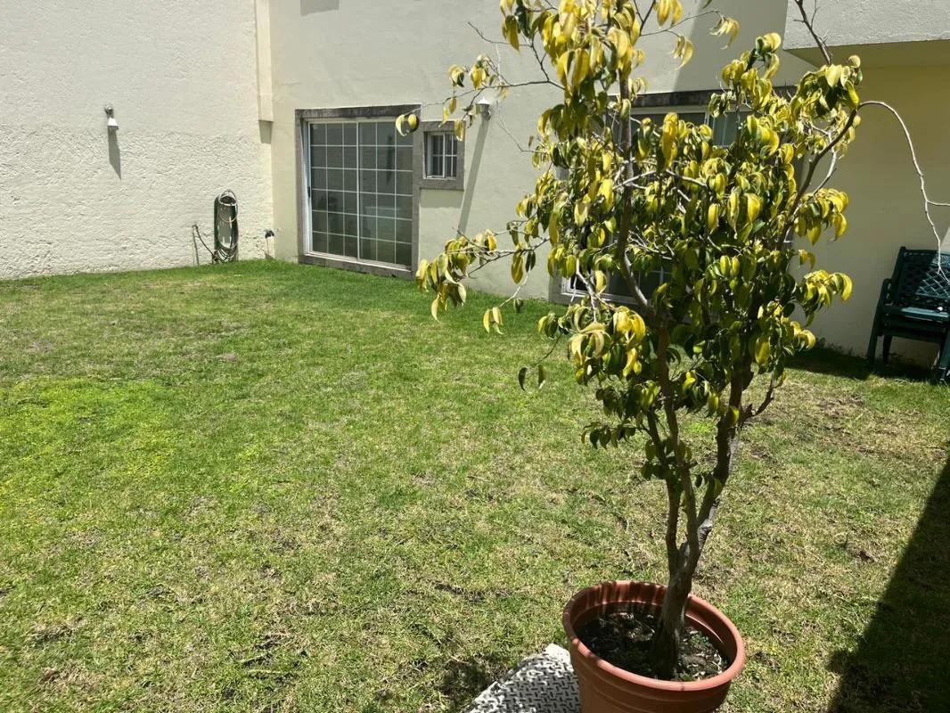 secondary property images 0