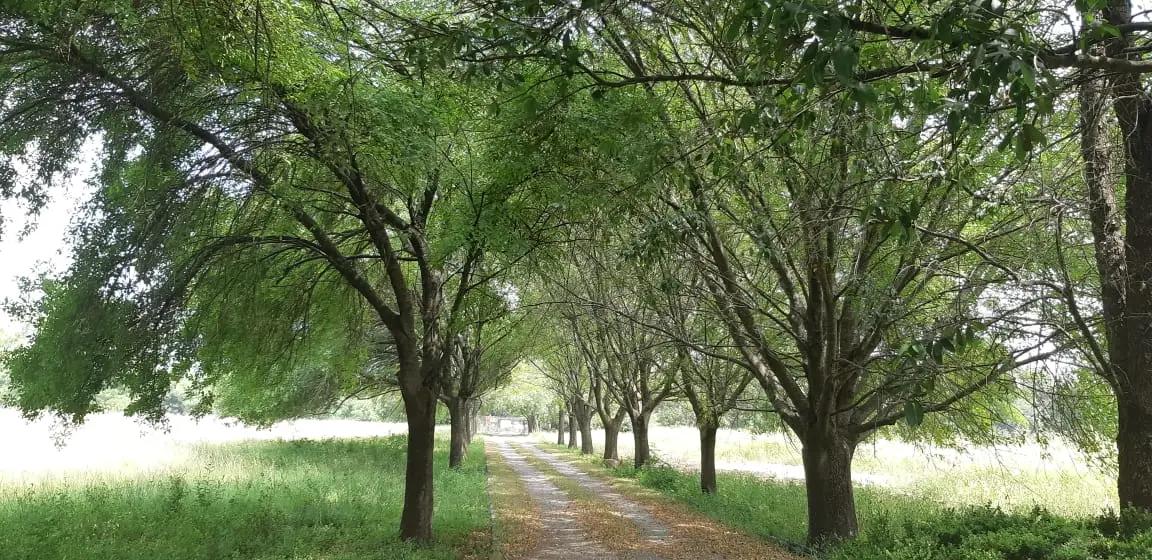 secondary property images 1