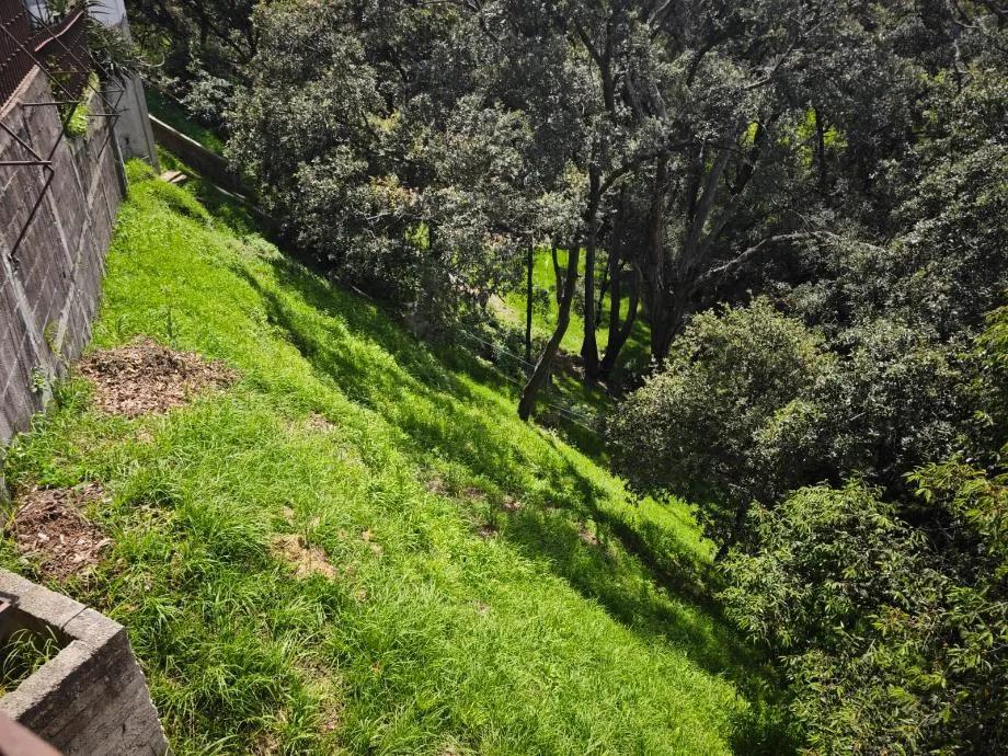 secondary property images 3