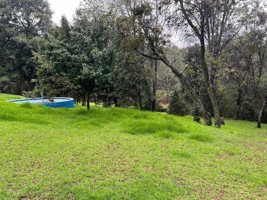 secondary property images 1