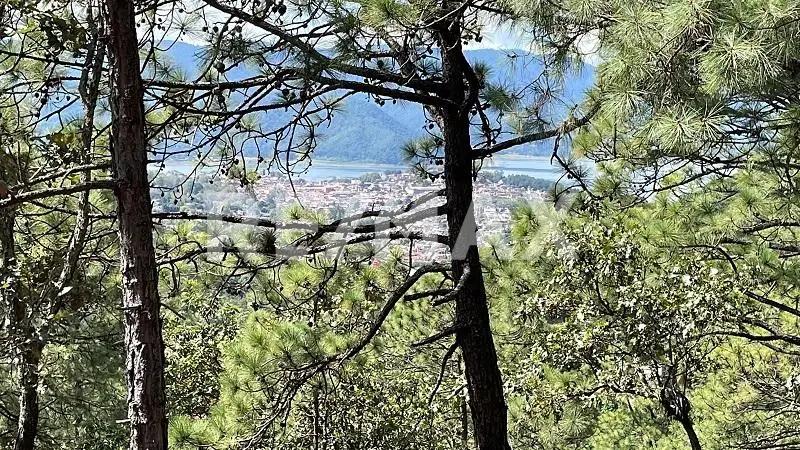 secondary property images 2