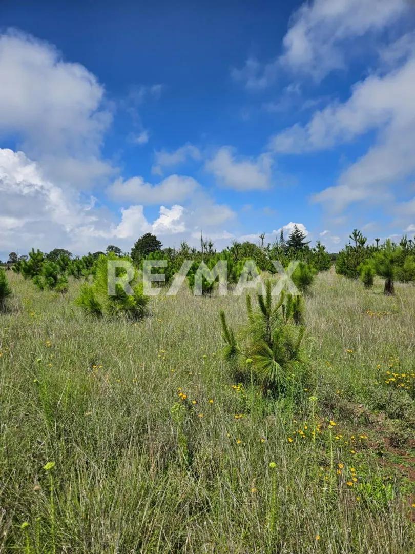 secondary property images 2