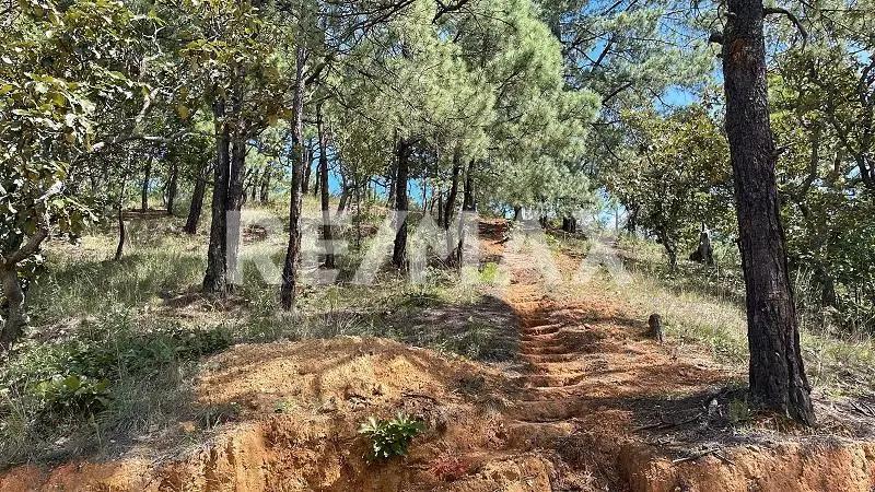 secondary property images 1