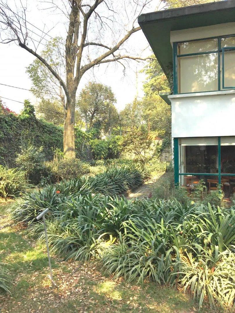 main property photo