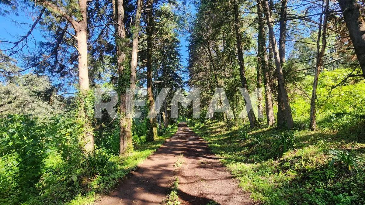 secondary property images 2