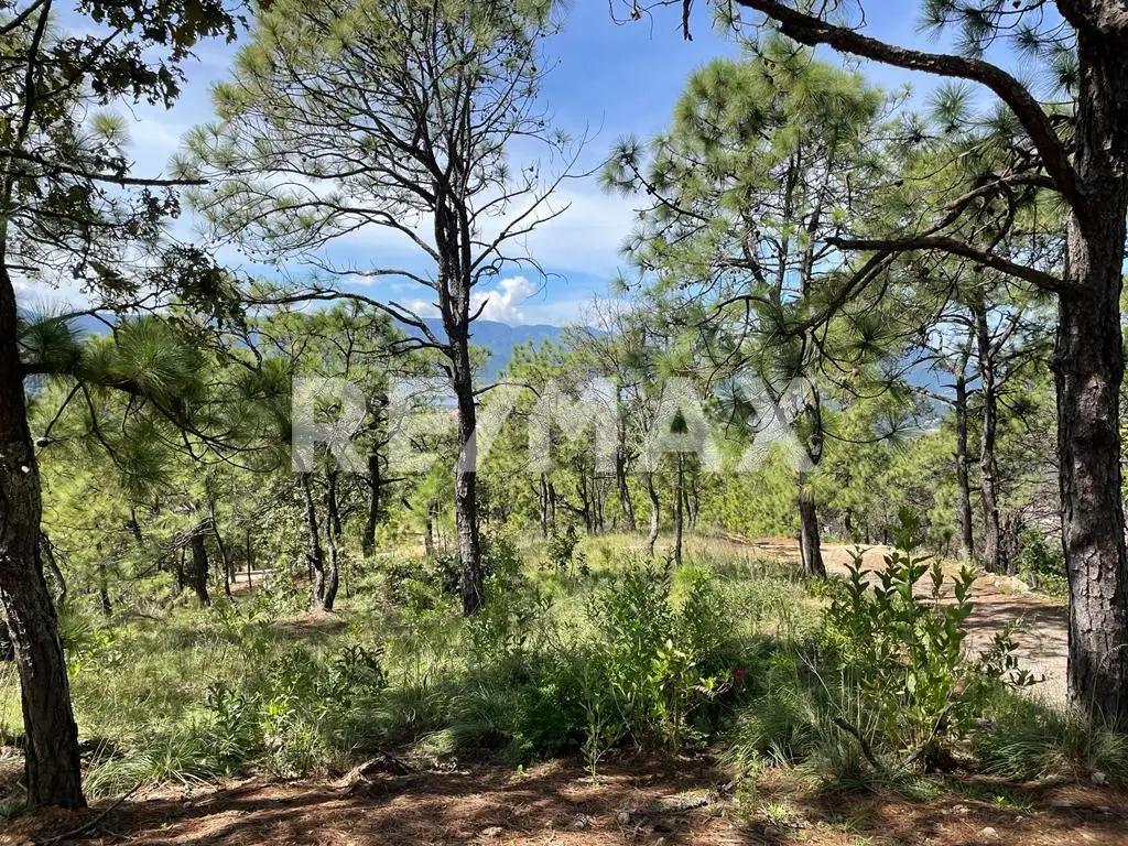 secondary property images 3