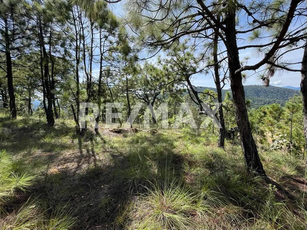 secondary property images 0