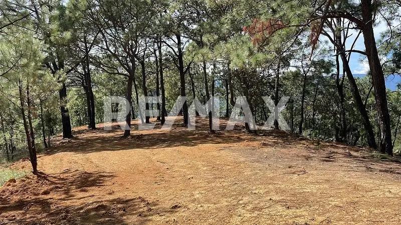 secondary property images 0