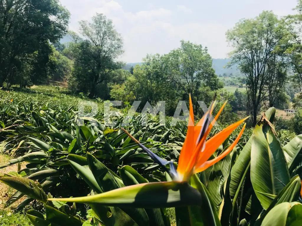 secondary property images 2