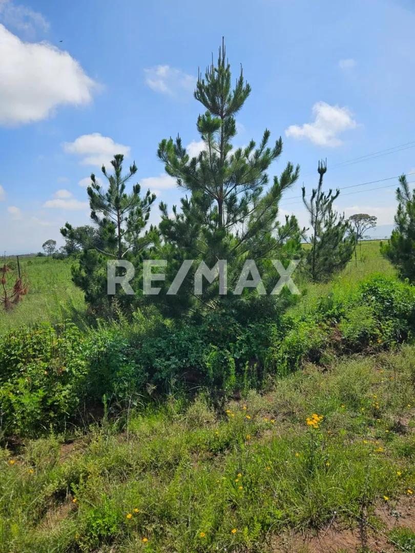 secondary property images 3