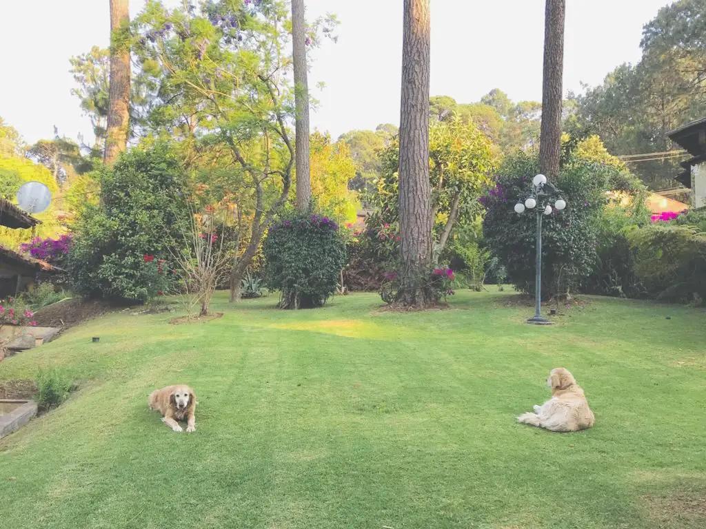 secondary property images 1